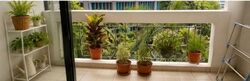 Hillview Green (D21), Condominium #630711281
